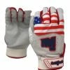 Dominate USA FLAG BATTING GLOVES